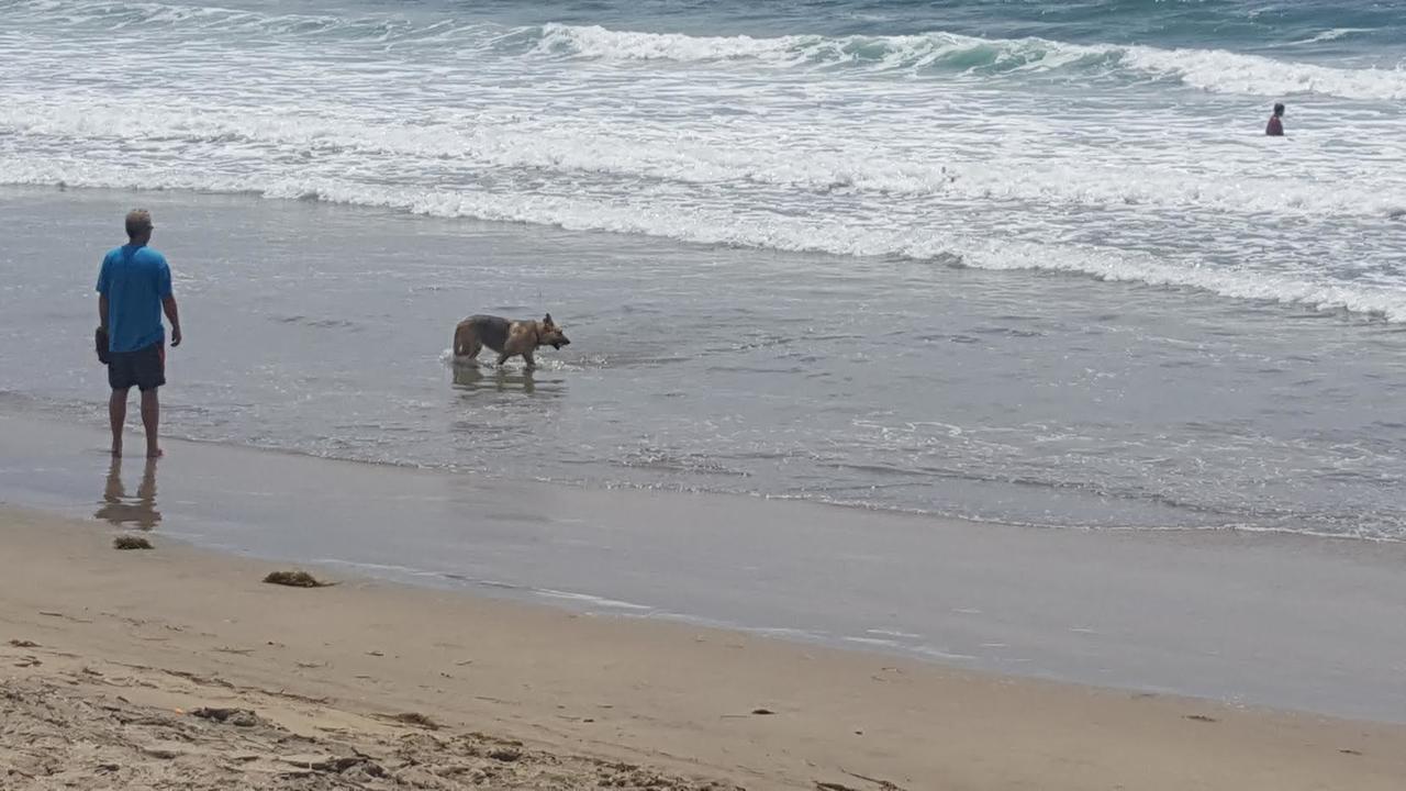 Playa Hermosa Inn At The Beach Ενσενάντα Εξωτερικό φωτογραφία